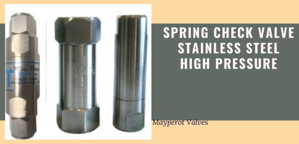 spring check valve heavy duty